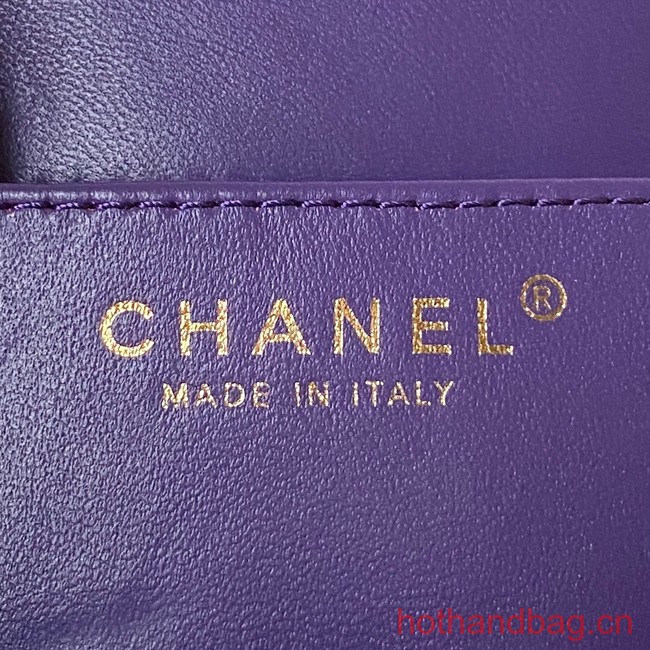 Chanel BAGUETTE BAG AS4611 Purple