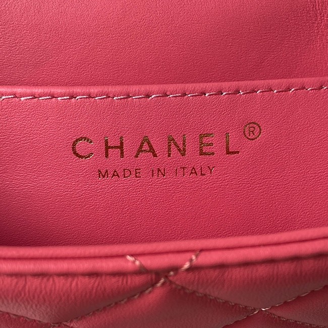 Chanel SMALL MESSENGER BAG AS4609 Fuchsia