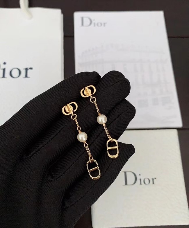 Dior Earrings CE12901