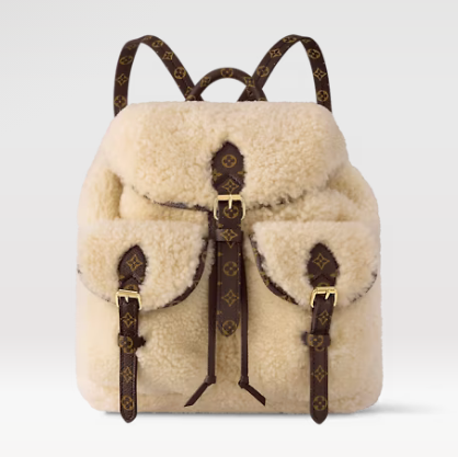 Louis Vuitton SKI Backpack M23384