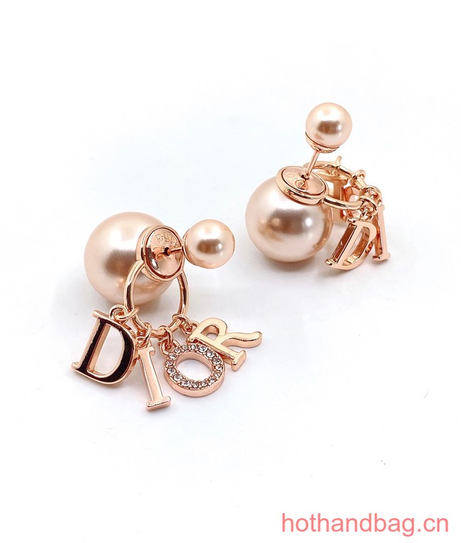 Dior Earrings CE13047