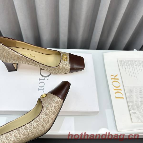 Dior Shoes DIS00249