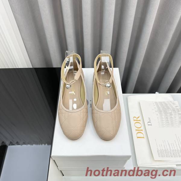 Dior Shoes DIS00253
