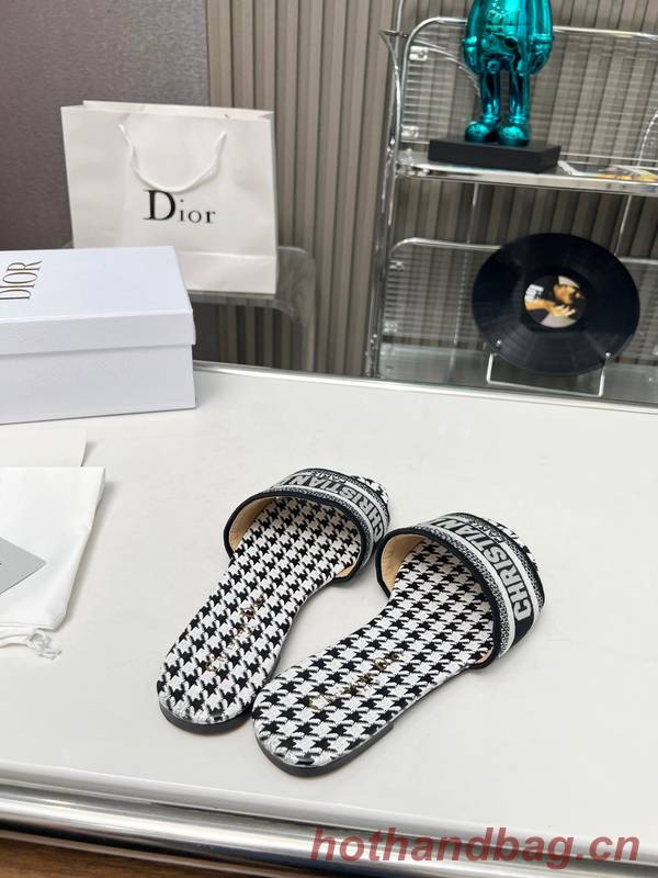 Dior Shoes DIS00300
