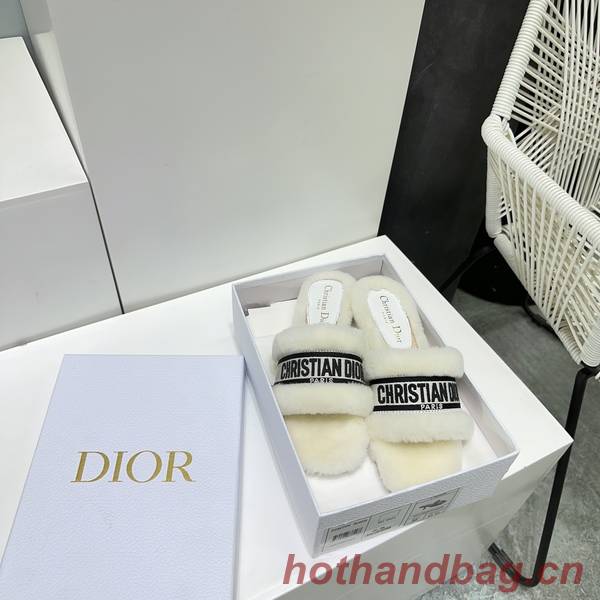 Dior Shoes DIS00301