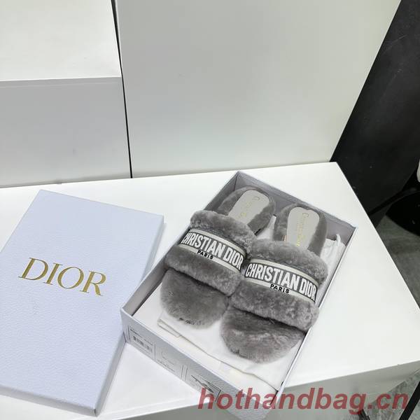 Dior Shoes DIS00303