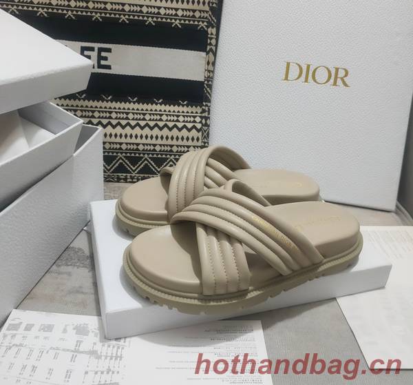 Dior Shoes DIS00308