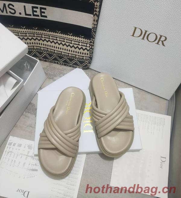 Dior Shoes DIS00308