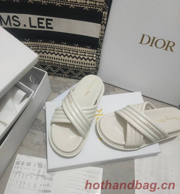 Dior Shoes DIS00309