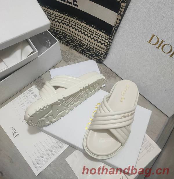 Dior Shoes DIS00309