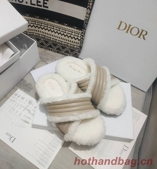Dior Shoes DIS00311