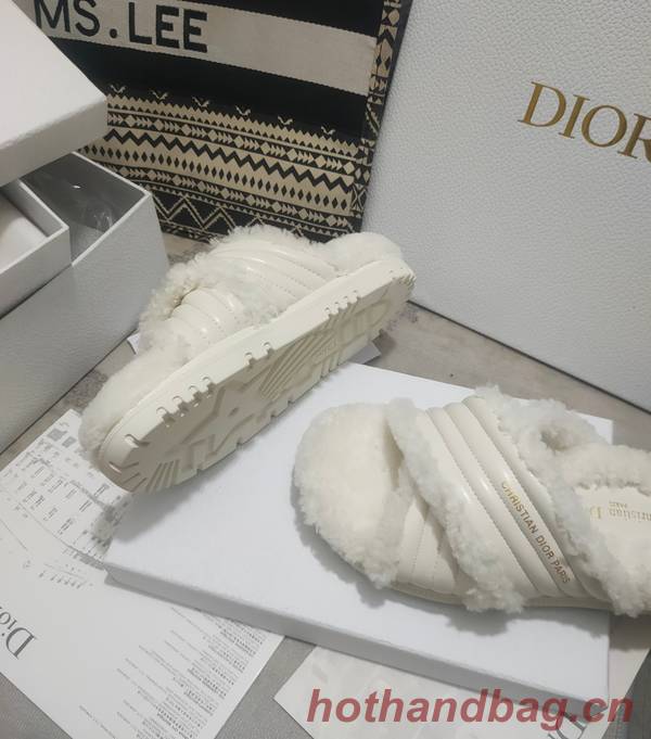 Dior Shoes DIS00312