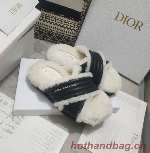 Dior Shoes DIS00313
