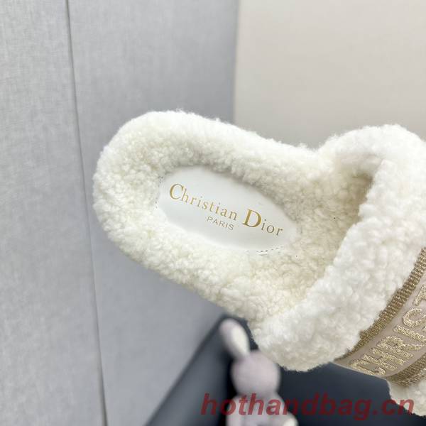 Dior Shoes DIS00325