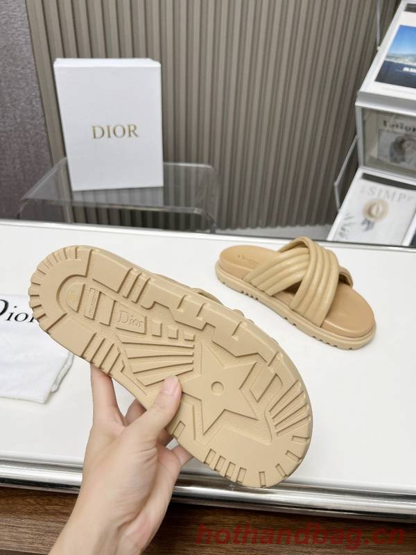 Dior Shoes DIS00339