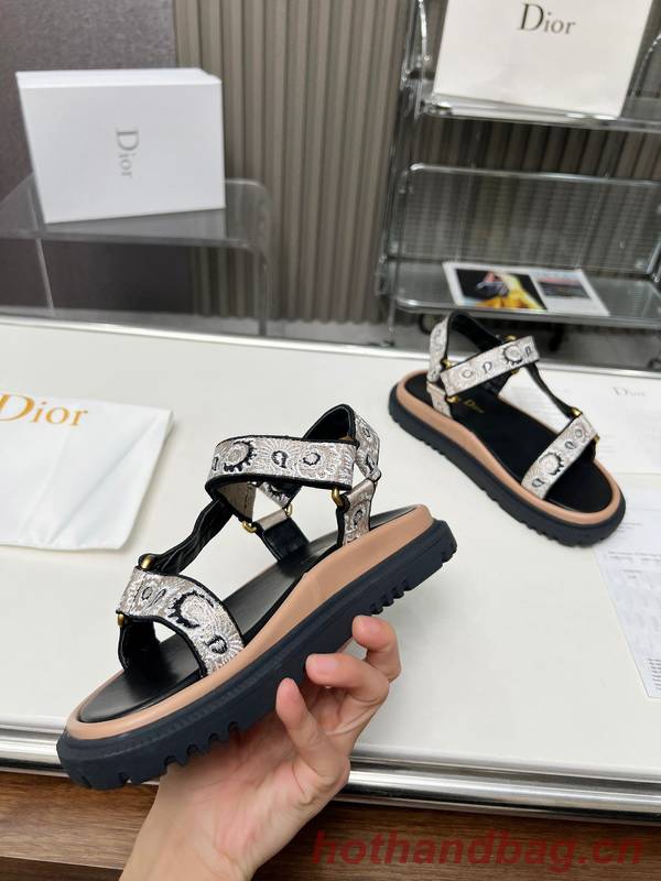 Dior Shoes DIS00340