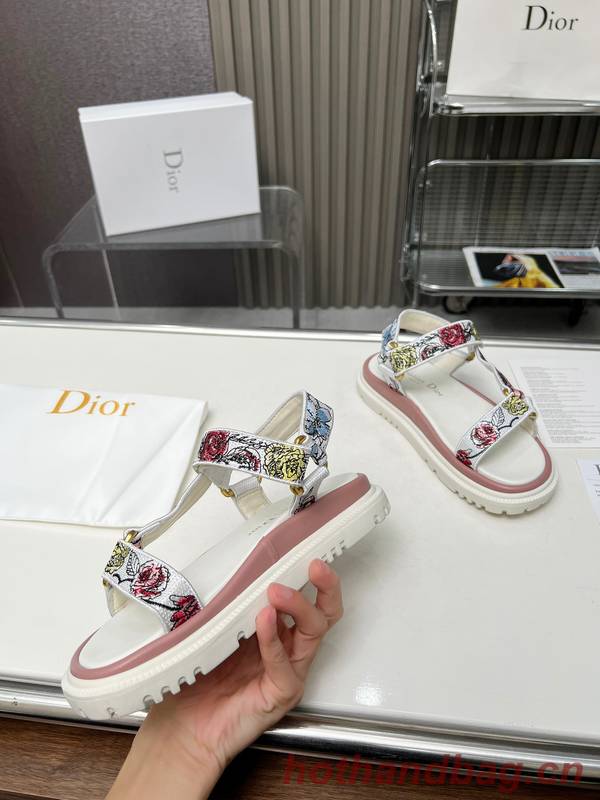 Dior Shoes DIS00341