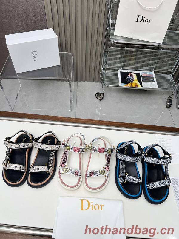 Dior Shoes DIS00341