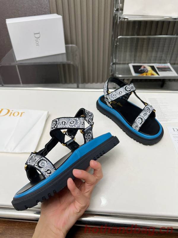 Dior Shoes DIS00342