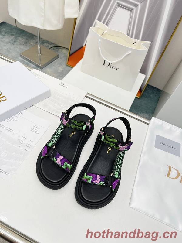 Dior Shoes DIS00343