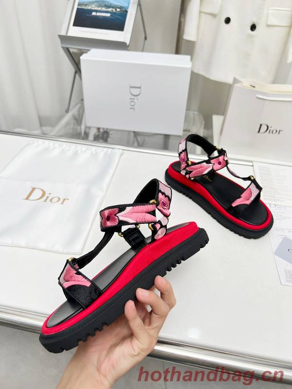 Dior Shoes DIS00344