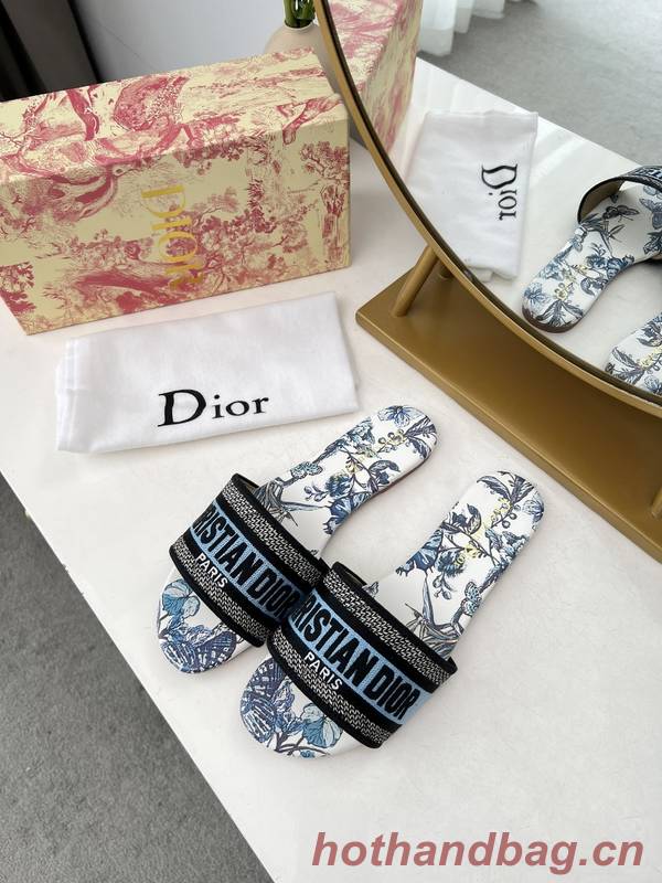 Dior Shoes DIS00347