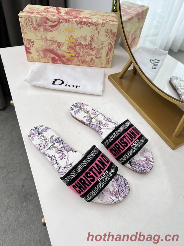 Dior Shoes DIS00348