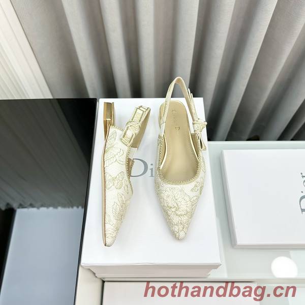 Dior Shoes DIS00359