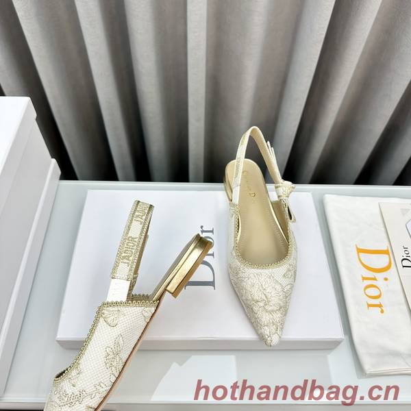 Dior Shoes DIS00359