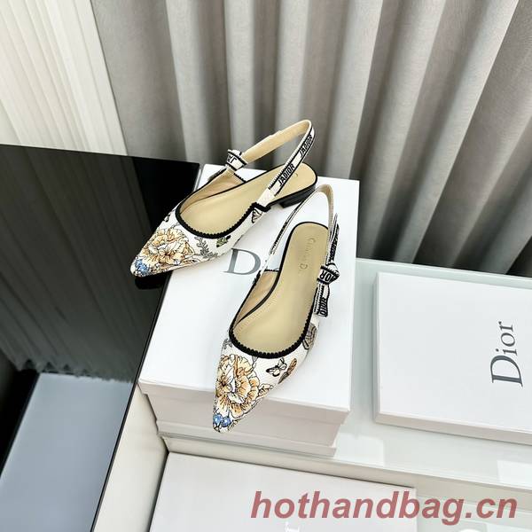 Dior Shoes DIS00360