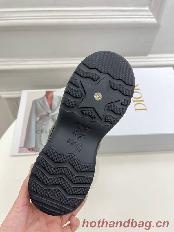 Dior Shoes DIS00376