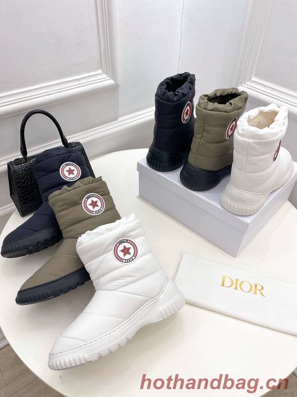 Dior Shoes DIS00378