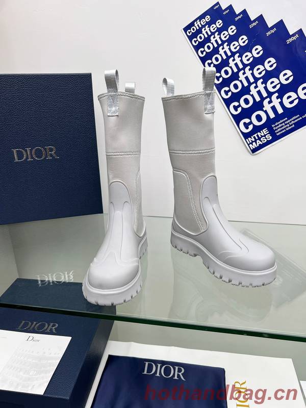 Dior Shoes DIS00413