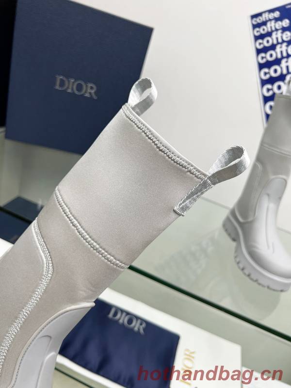 Dior Shoes DIS00413