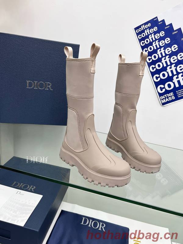 Dior Shoes DIS00414