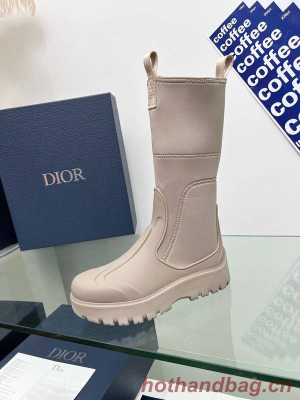 Dior Shoes DIS00414
