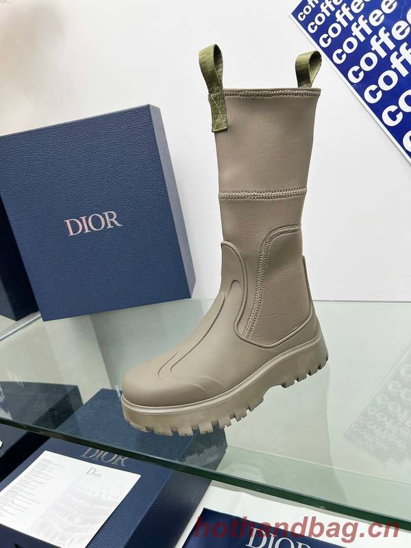 Dior Shoes DIS00415