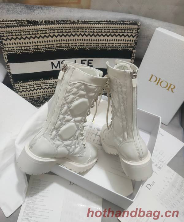 Dior Shoes DIS00418