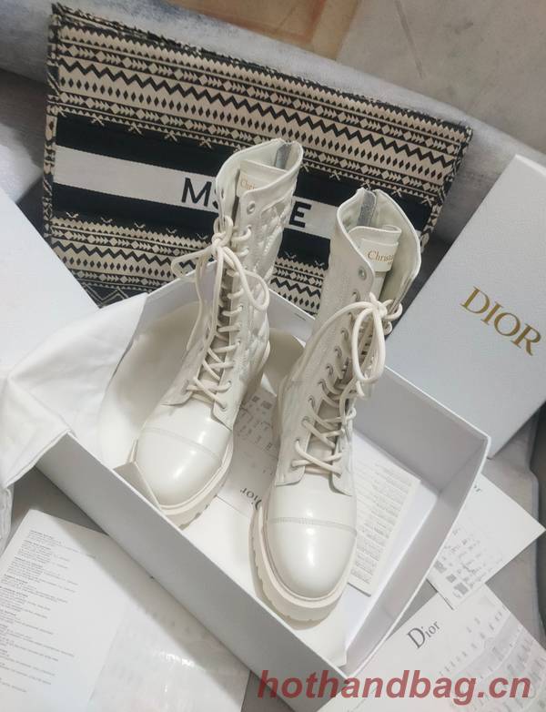 Dior Shoes DIS00418