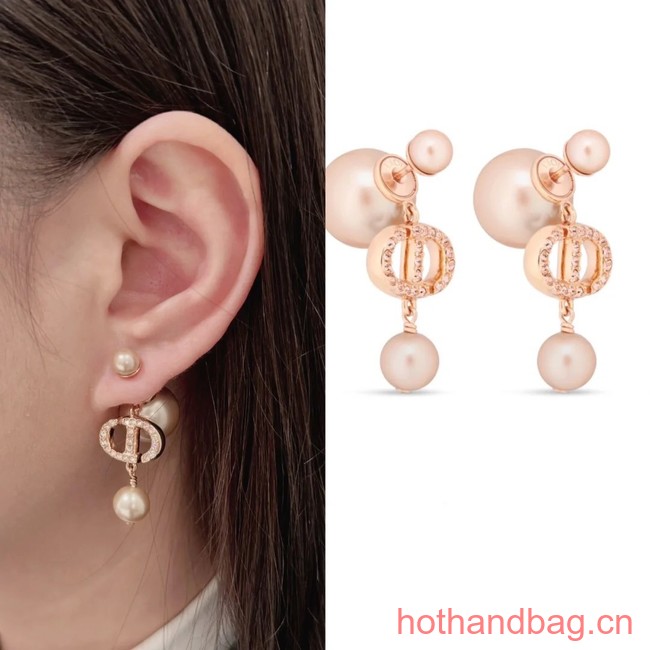 Dior Earrings CE13059
