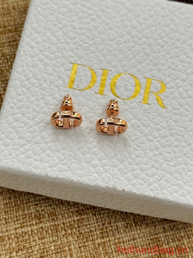 Dior Earrings CE13077