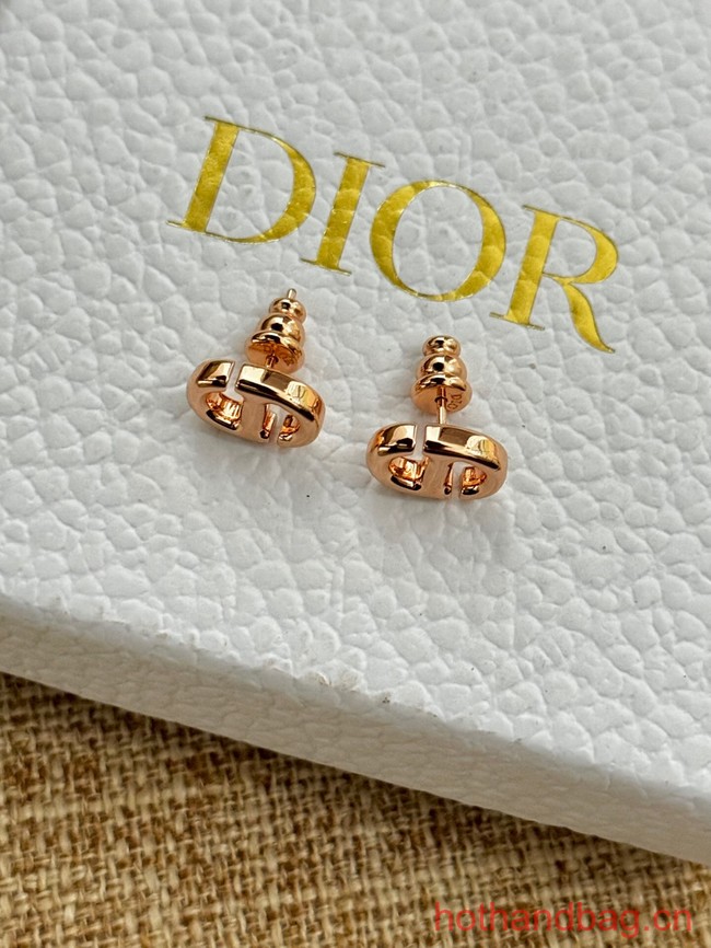 Dior Earrings CE13077