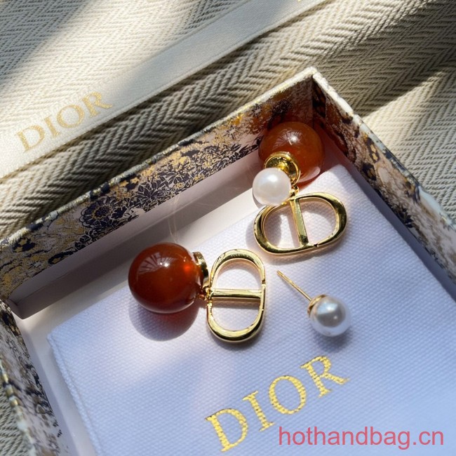 Dior Earrings CE13119