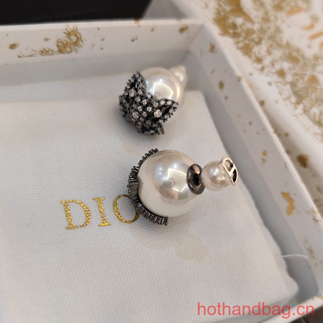 Dior Earrings CE13120
