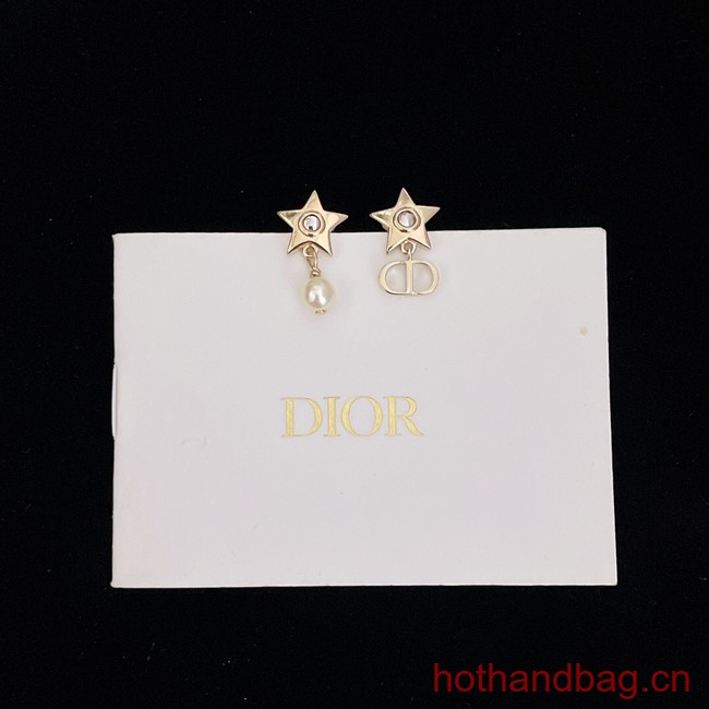 Dior Earrings CE13129