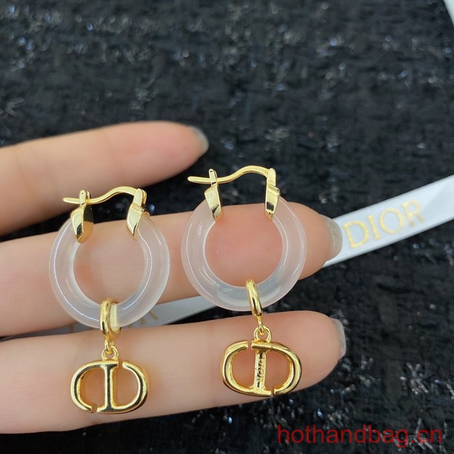 Dior Earrings CE13155