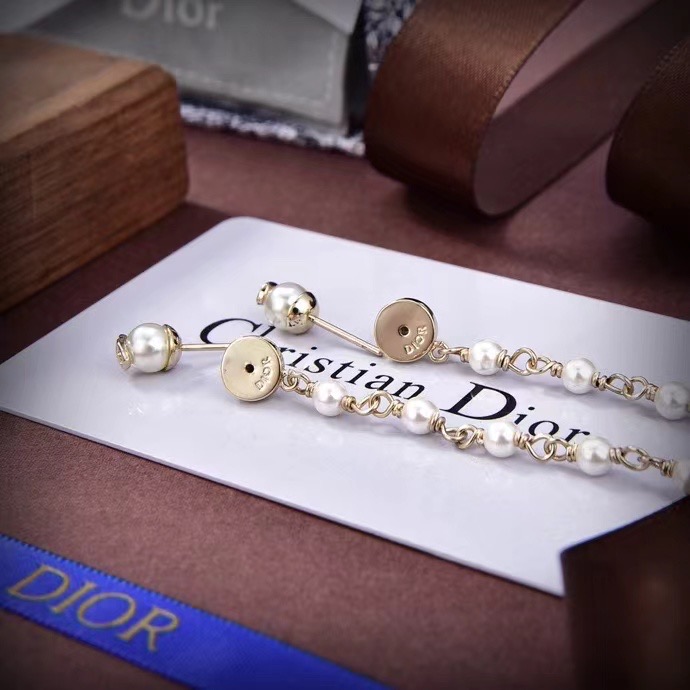 Dior Earrings CE13191