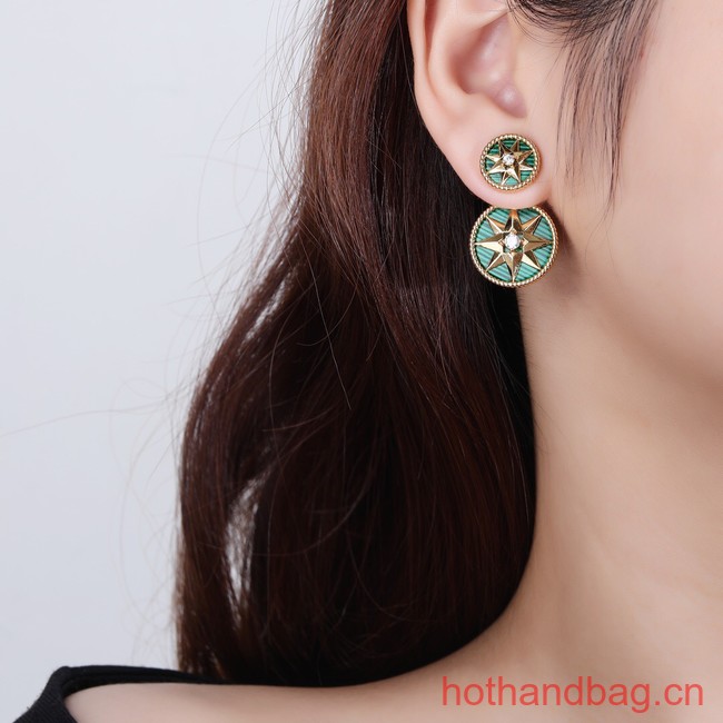 Dior Earrings CE13228