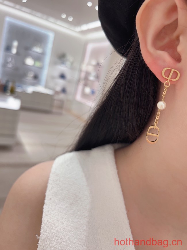 Dior Earrings CE13238