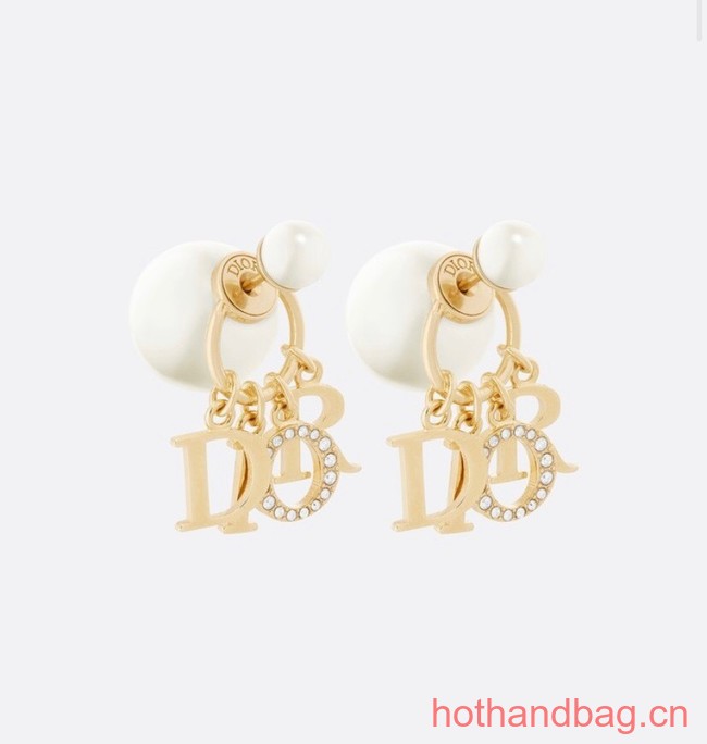 Dior Earrings CE13250